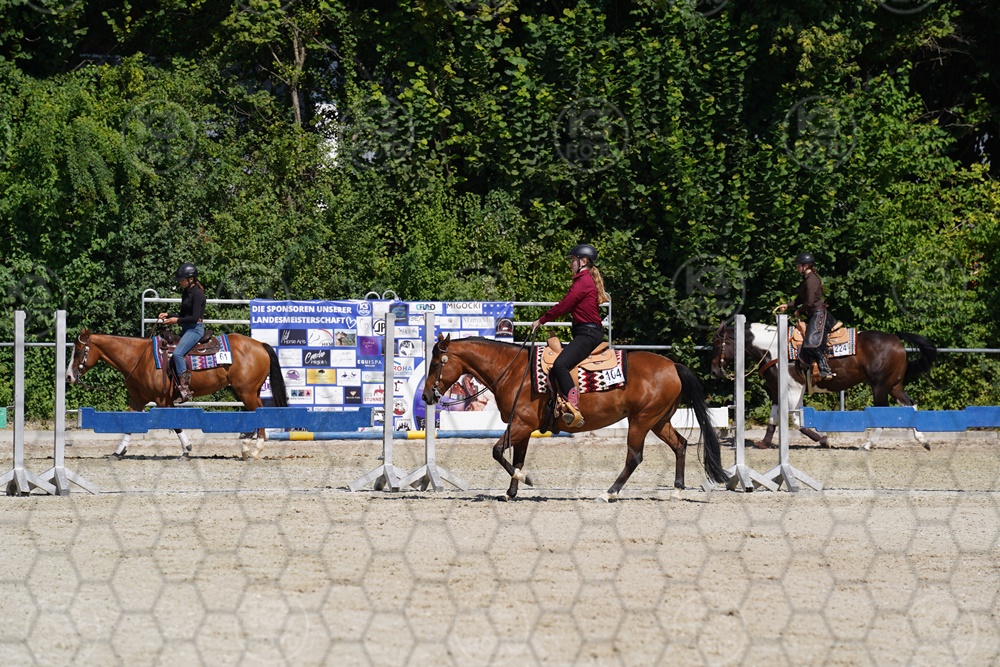 A7_08479.JPG